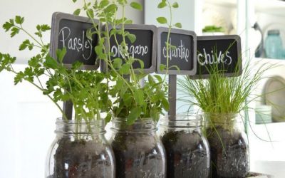 YogaBug Home Projects: Mason Jar Herb Gardens