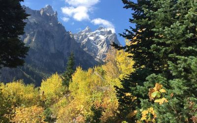 Tales from the Tetons: The Yoga of Real Estate