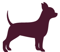 yogabug Real Estate- sponsorship levels for dog boneanza Level chihuahua