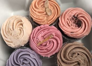 6 Cupcakes and 5 Yogis: The Power of Choice