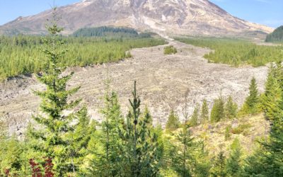 WEEK 30: The Latest Portland Real Estate News from Ape Canyon at Mt. St. Helens