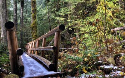 WEEK 35: Portland Real Estate News from the Salmon River Trail