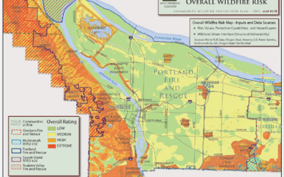 Summer Heat & Wildfire Prep in Portland ☀️ Is Your Home Ready?