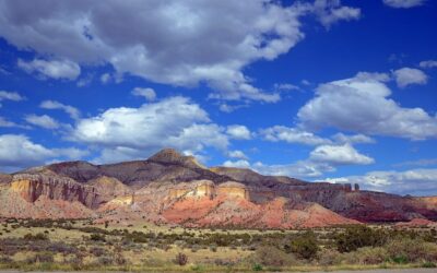 What Happens When You Finally Put Down Your Phone