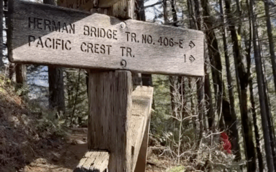 Pam’s December 2025 Portland Real Estate Update from Herman Creek Trail