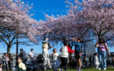 Is Downtown Portland Coming Back🌸?