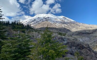 Pam’s April 2026 Portland Real Estate Update from Ape Canyon