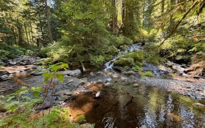 Pam’s July 2026 Portland Real Estate Update from Multnomah Falls