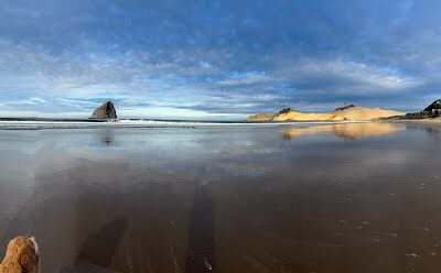 Pam’s 10/14/2026 Portland Real Estate Update from Cape Kiwanda