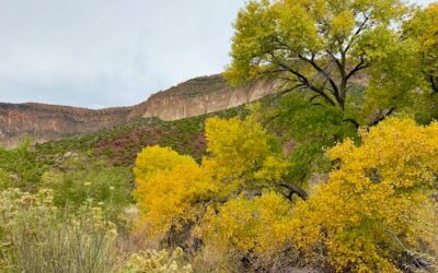 Pam’s September 2026 Portland Real Estate Update from Jemez Springs, New Mexico